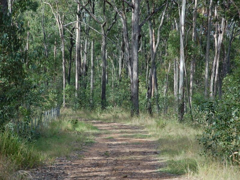 3221 Old Tenterfield Road, Busbys Flat NSW 2469