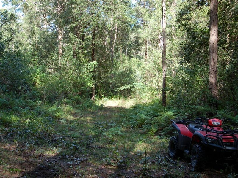 3221 Old Tenterfield Road, Busbys Flat NSW 2469