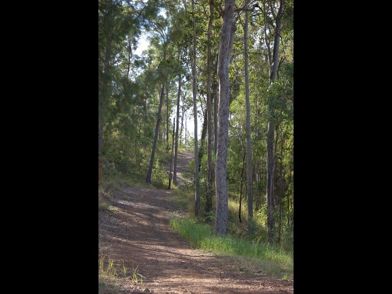 3221 Old Tenterfield Road, Busbys Flat NSW 2469