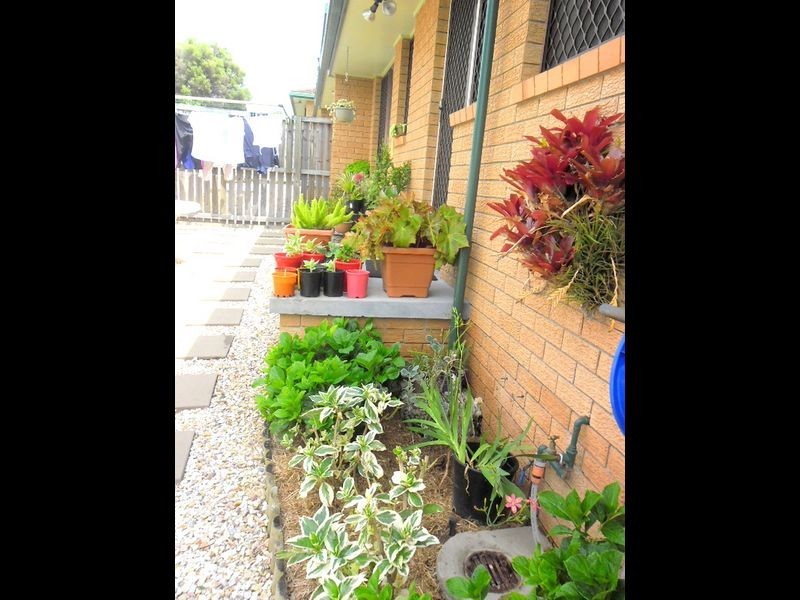 4/33 Fredrick Street, Casino NSW 2470