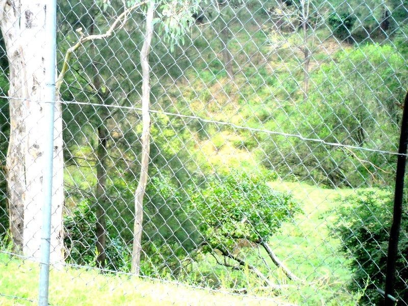 Site 21 Glennvilla Caravan Park off Johnston St, Casino NSW 2470