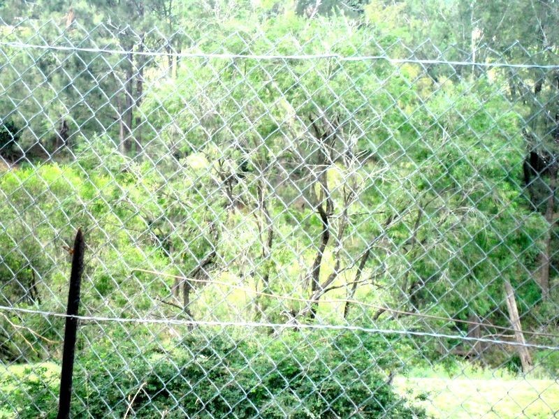 Site 21 Glennvilla Caravan Park off Johnston St, Casino NSW 2470