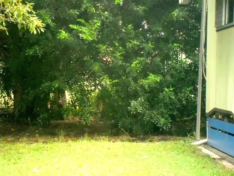 Site 21 Glennvilla Caravan Park off Johnston St, Casino NSW 2470