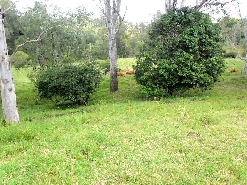 Site 21 Glennvilla Caravan Park off Johnston St, Casino NSW 2470