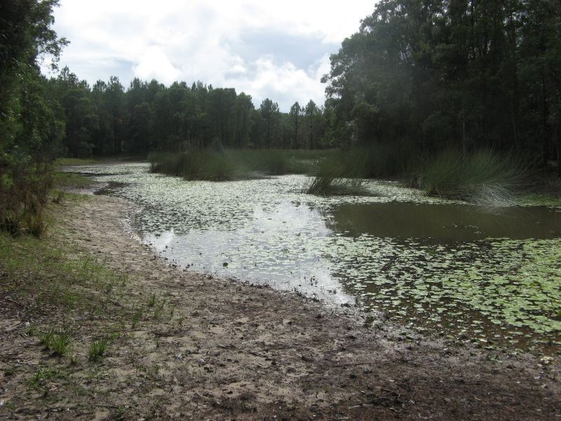 600 Clearfield Road, Casino NSW 2470