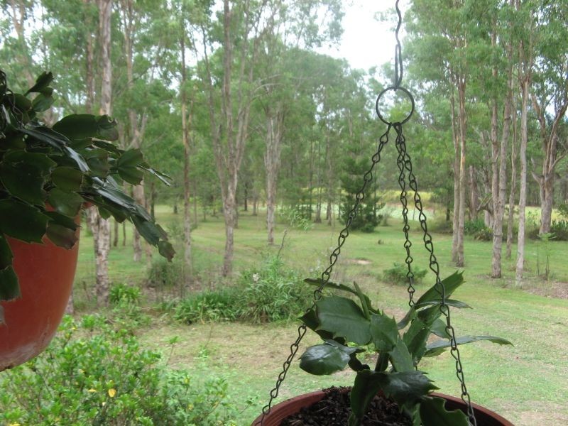 Bruxner Highway, Tabulam NSW 2469