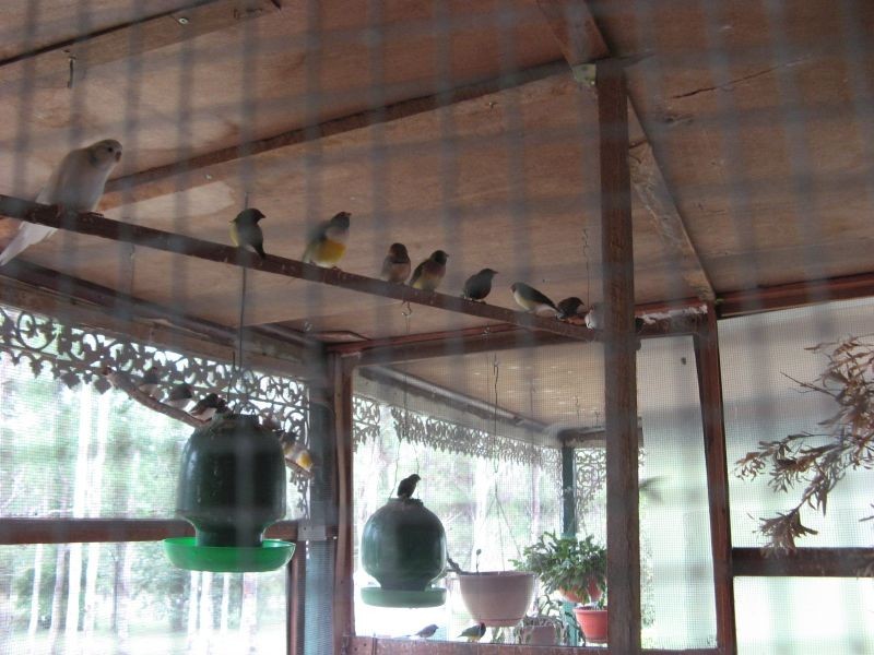 Bruxner Highway, Tabulam NSW 2469