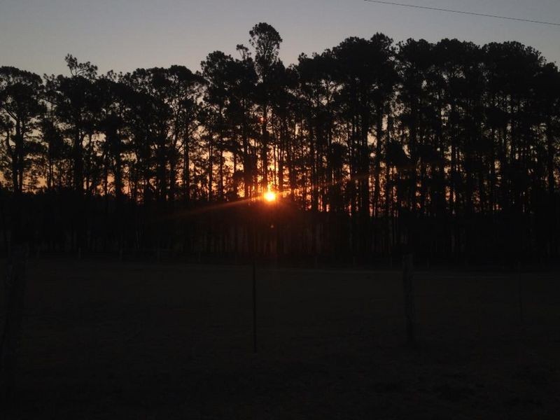 315 Myrtle Creek Road, Casino NSW 2470