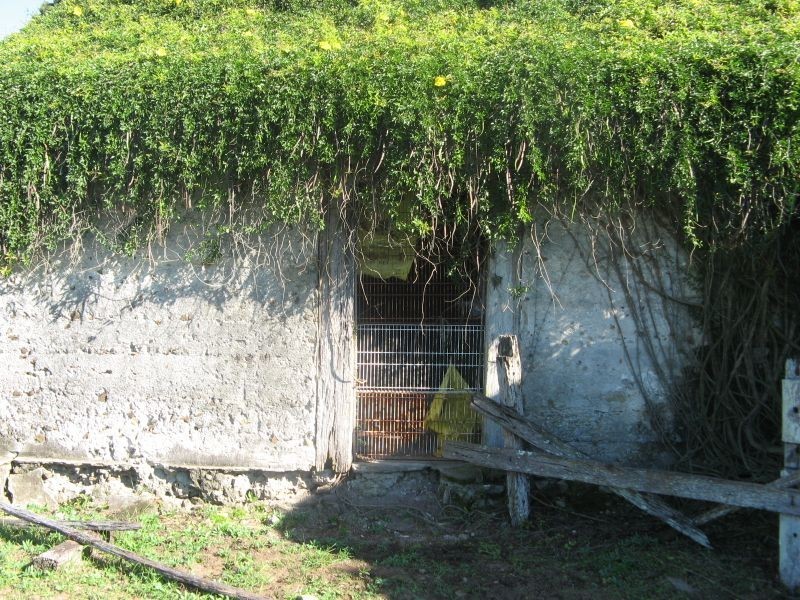 315 Myrtle Creek Road, Casino NSW 2470