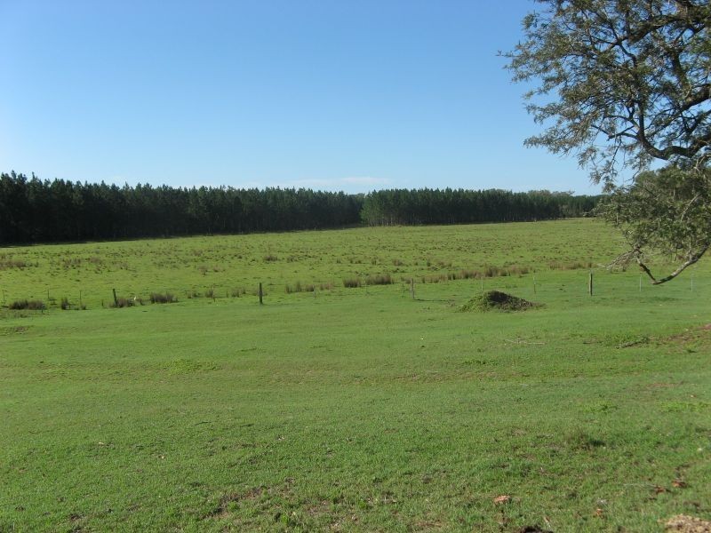 315 Myrtle Creek Road, Casino NSW 2470