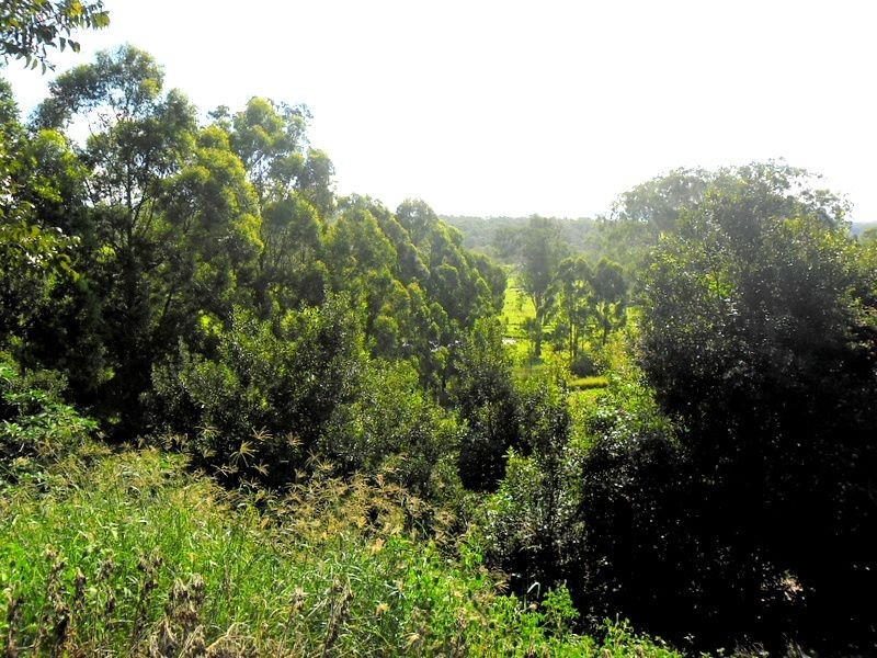 657 Old Dyraaba Rd, Casino NSW 2470