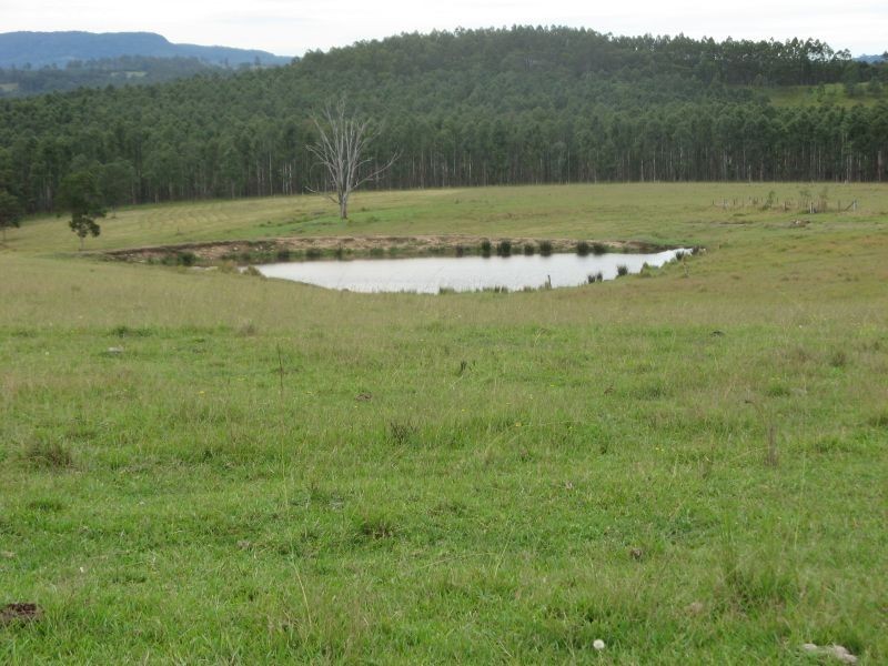 11607 Clarence Way, Tabulam NSW 2469