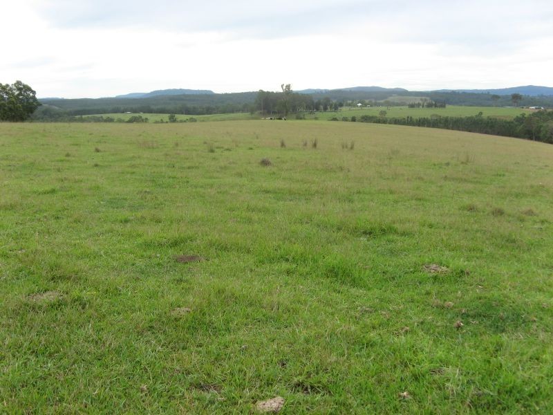 11607 Clarence Way, Tabulam NSW 2469