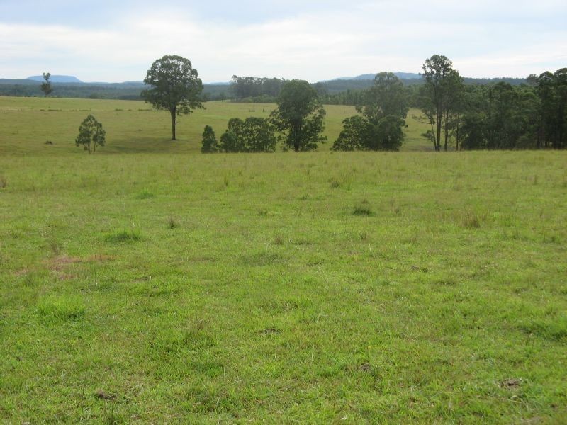 11607 Clarence Way, Tabulam NSW 2469