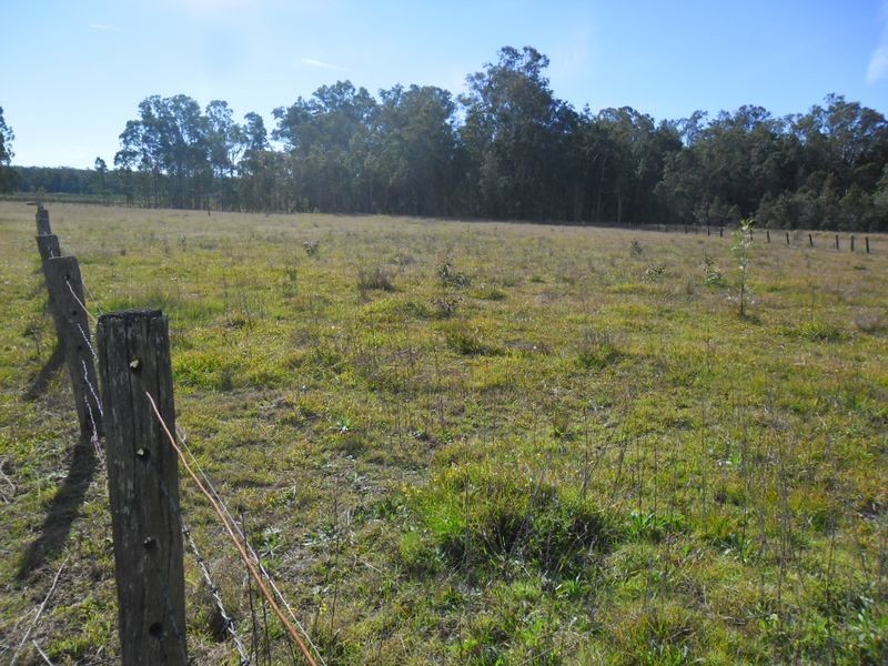 850 Clearfield Road, Casino NSW 2470