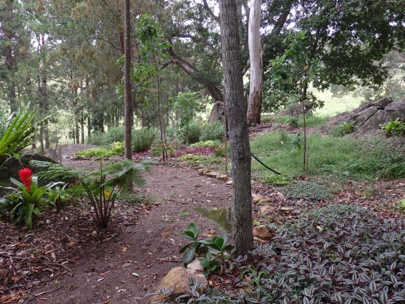 157 Theresa Creek Road, Theresa Creek NSW 2469