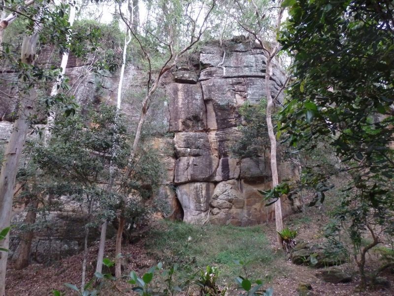 157 Theresa Creek Road, Theresa Creek NSW 2469