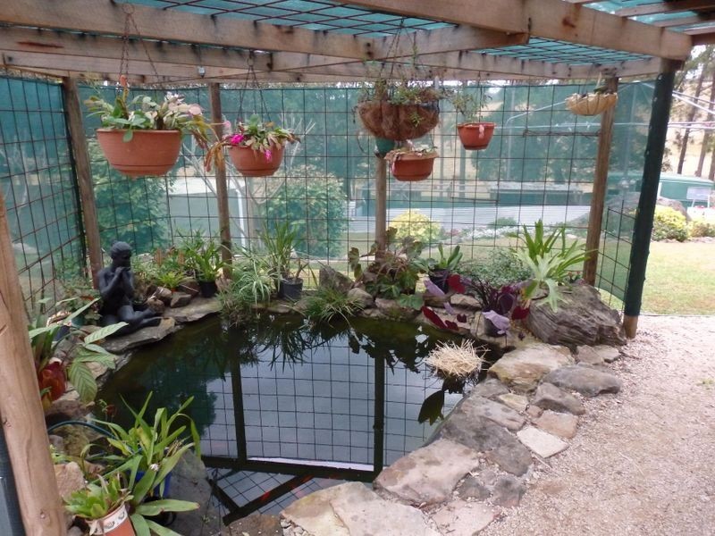 157 Theresa Creek Road, Theresa Creek NSW 2469