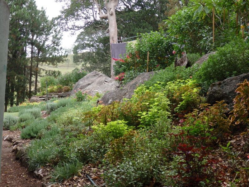 157 Theresa Creek Road, Theresa Creek NSW 2469