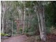 157 Theresa Creek Road, Theresa Creek NSW 2469