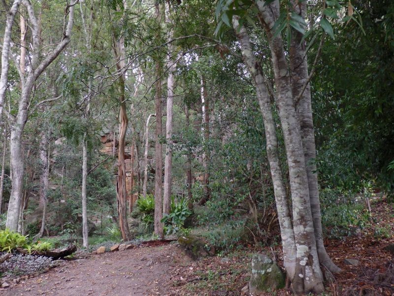 157 Theresa Creek Road, Theresa Creek NSW 2469