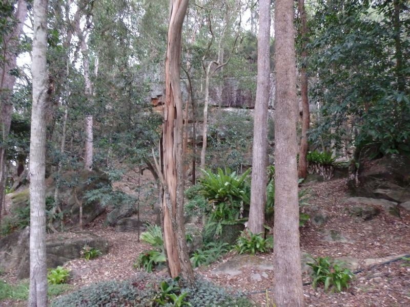 157 Theresa Creek Road, Theresa Creek NSW 2469