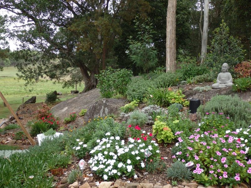 157 Theresa Creek Road, Theresa Creek NSW 2469