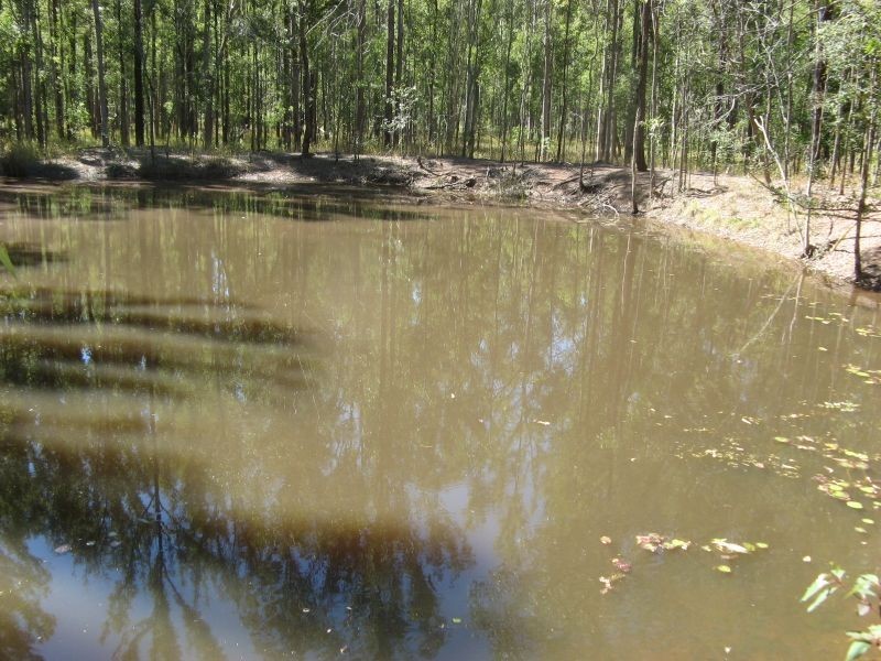 455 Carwong Road, Rappville NSW 2469