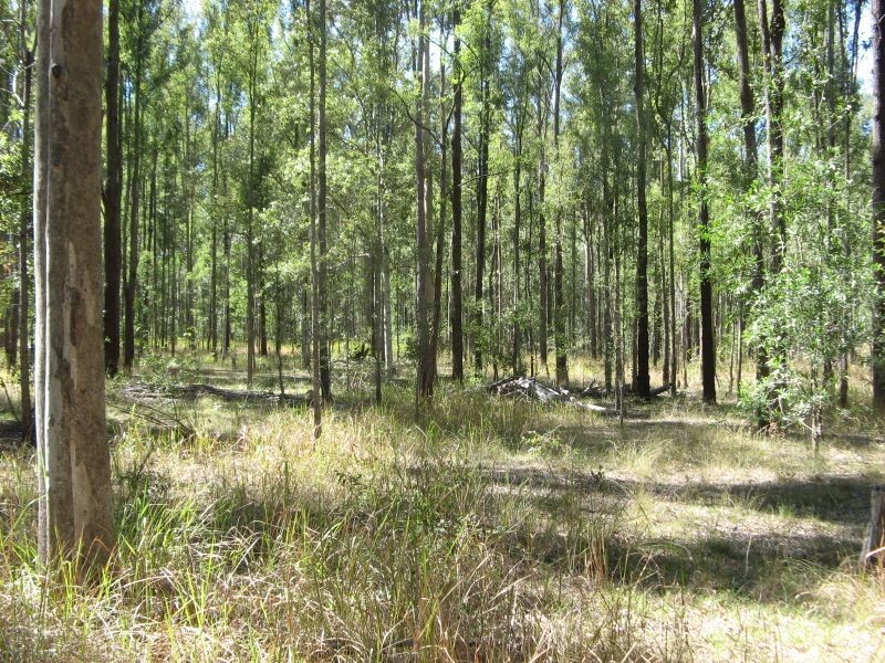 455 Carwong Road, Rappville NSW 2469