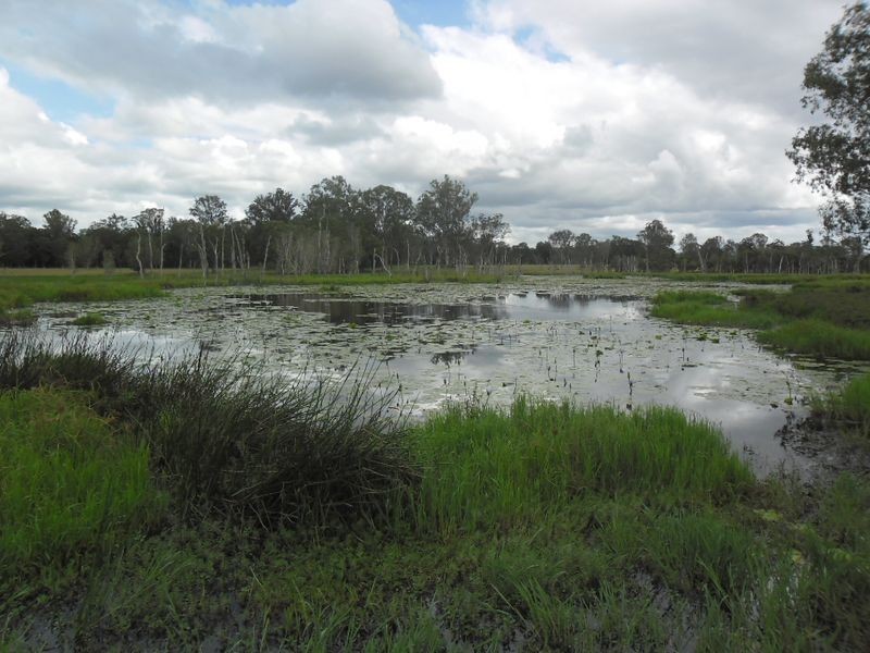 380 Busbys Flat Rd, Casino NSW 2470