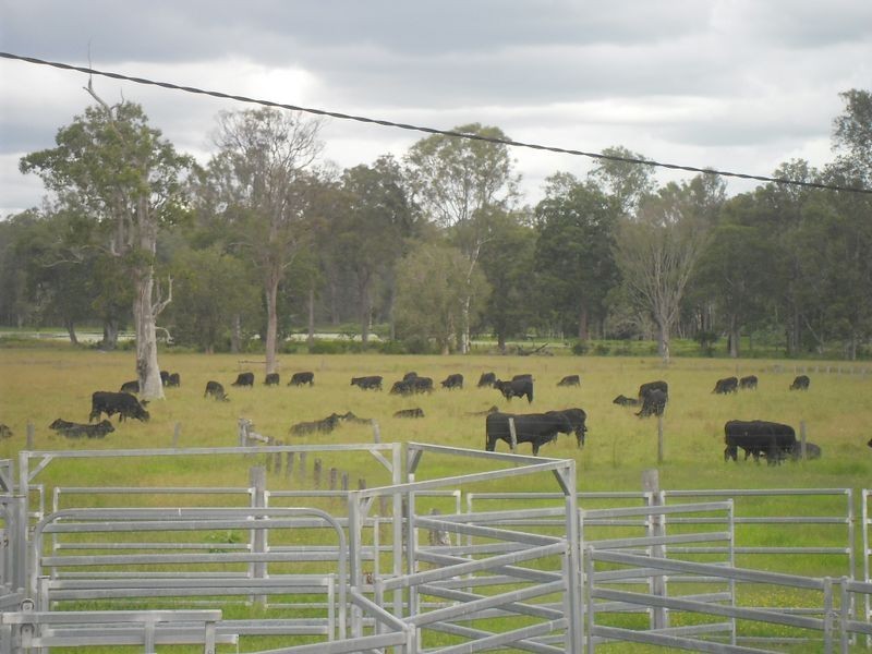 380 Busbys Flat Rd, Casino NSW 2470