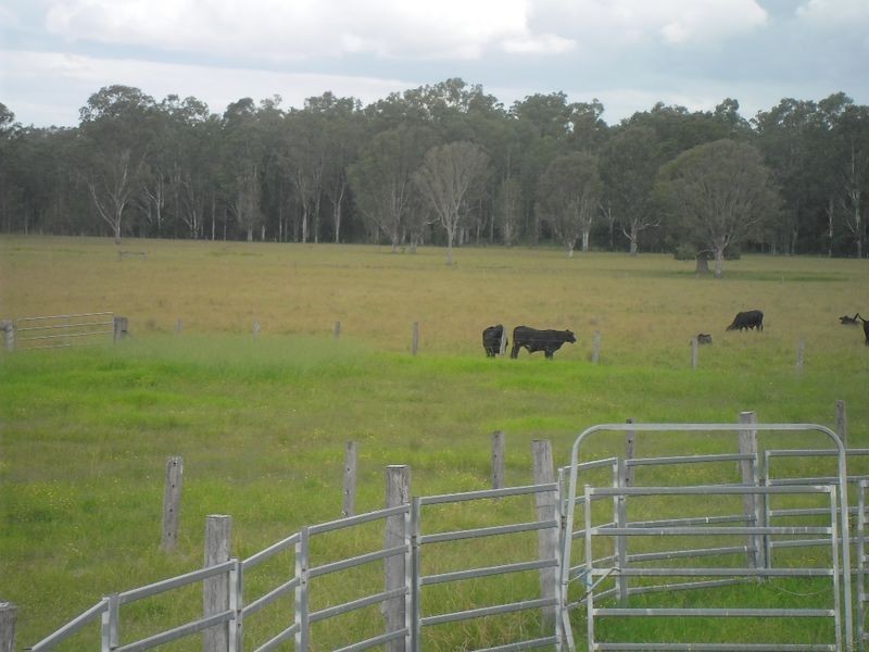 380 Busbys Flat Rd, Casino NSW 2470