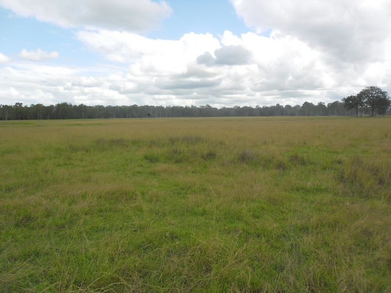 380 Busbys Flat Rd, Casino NSW 2470