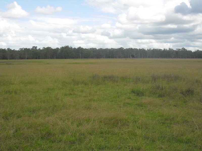 380 Busbys Flat Rd, Casino NSW 2470