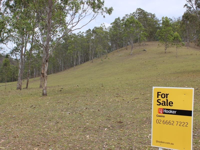 Lot 5 Rocky River Road, Drake NSW 2469