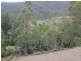 Lot 5 Rocky River Road, Drake NSW 2469