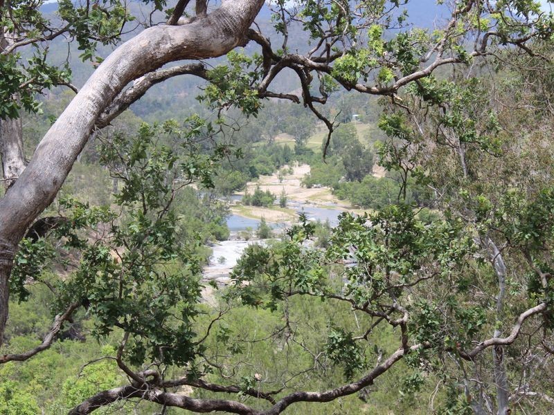 Lot 5 Rocky River Road, Drake NSW 2469