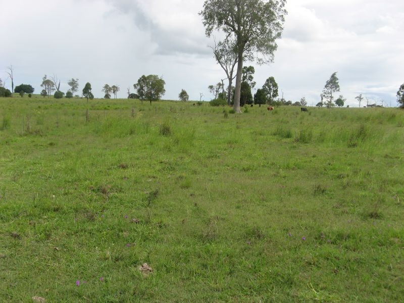 Lot 31 Fogwells Road, Yorklea NSW 2470