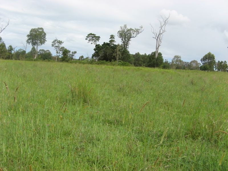 Lot 31 Fogwells Road, Yorklea NSW 2470