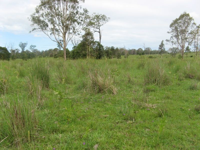 Lot 31 Fogwells Road, Yorklea NSW 2470