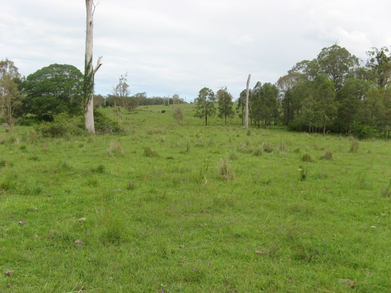 Lot 31 Fogwells Road, Yorklea NSW 2470
