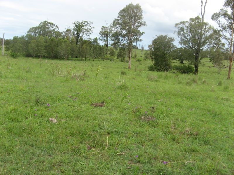 Lot 31 Fogwells Road, Yorklea NSW 2470