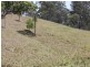 Lot 1 Clarence Way, Bonalbo NSW 2469