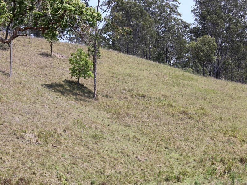 Lot 1 Clarence Way, Bonalbo NSW 2469
