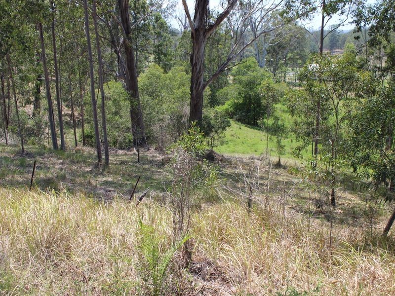 Lot 1 Clarence Way, Bonalbo NSW 2469