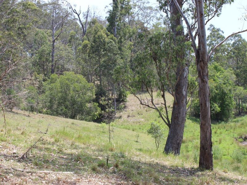 Lot 1 Clarence Way, Bonalbo NSW 2469