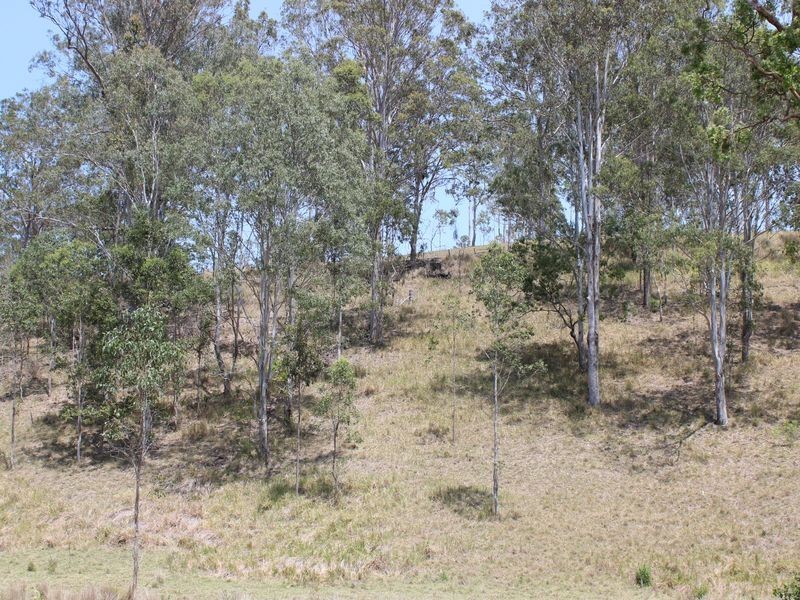 Lot 1 Clarence Way, Bonalbo NSW 2469
