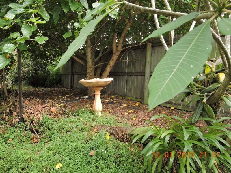 2 Albert Street, Casino NSW 2470