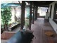 455 Carwong Road, Rappville NSW 2469