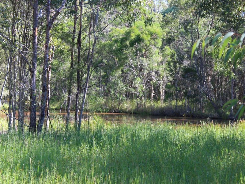 375 Elliotts Road Myrtle Creek, Casino NSW 2470